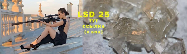 индика Баксан