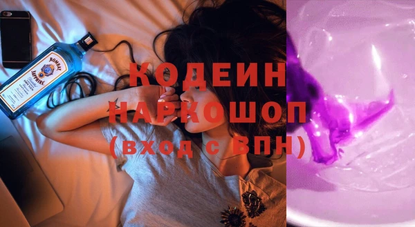 индика Баксан