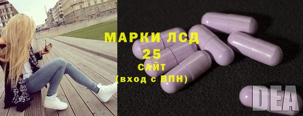 индика Баксан