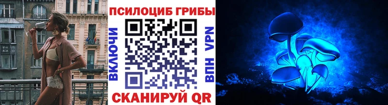 Псилоцибиновые грибы прущие грибы  Ладушкин 