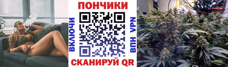 Конопля MAZAR  Ладушкин 